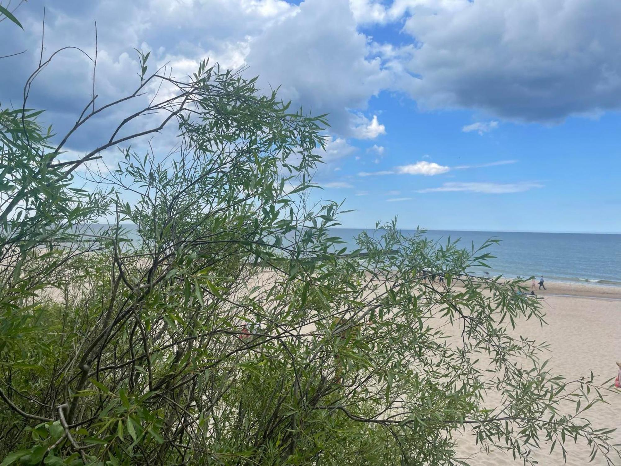 Apartament Na Lesnej Pobierowo Buitenkant foto